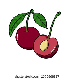 vector illustration of cherry fruit in cartoon style. whole and split fruit. Healthy fruit, vegetarian product.