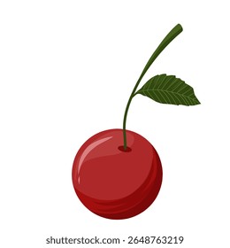 Vector illustration of cherry fruit,cherries with leaves,sweet dessert,cherry with stem