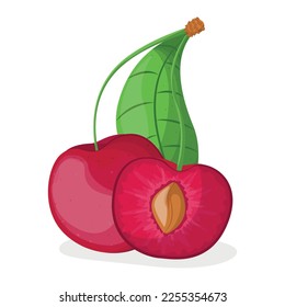 Vector illustration of cherry isolated on white background, cherry with leaves, half cherry, piece of cherry isolated