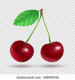 Vector illustration of cherry on transparency background.