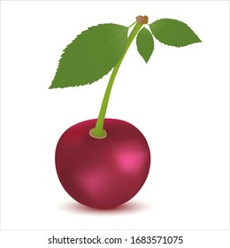 Vektorillustration einer Kirsche auf weißem Hintergrund.   Design-Element für Druck und Web.