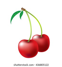 Vector illustration of a cherry on a white background