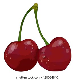 Vector illustration cherry. Red cherries