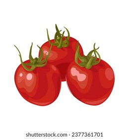 Ilustración vectorial, tomates cereza, aislados en fondo blanco.