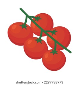 Vector illustration of cherry tomatoes on the vine.