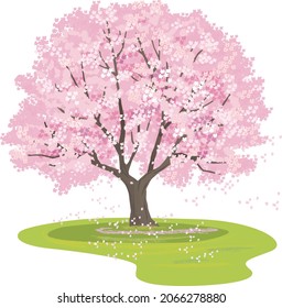 Vector illustration of a cherry tree in full bloom