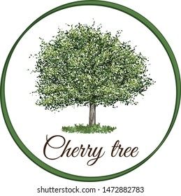vector illustration of an cherry tree isolated
