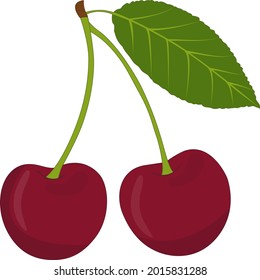 Vector illustration of a cherry tree. Vector illustration of a cherry used for magazines, books, food applications, posters, menu covers, web pages.