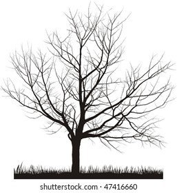 Vector Illustration Of Cherry Tree In Winter