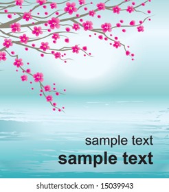 Vector illustration of a cherry twigs in bloom