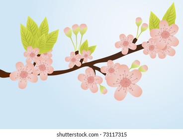 Vector illustration of cherry-tree branch with flowers isolated on blue