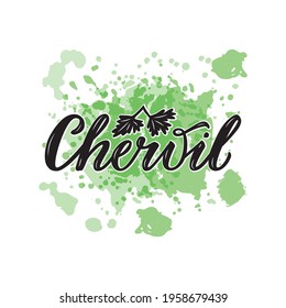 Vector Illustration Of Chervil Lettering For Packages, Product Design, Banner, Sticker, Spice Shop Price List And  Decoration. Handwritten Isolated Word With Floral Graphic Elements For Web Or Print
