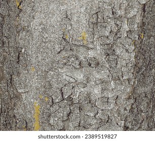 Vektorgrafik der Kastanienrinde. Textur des Stamms von Aesculus hippocastanum L. Hintergrund des lebenden Holzes. Leder der Waldnatur.
