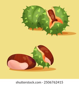 Vector illustration of chestnut. Cracked chestnut design, with thorns, without skin. Green chestnut, needles on chestnut