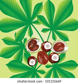 Vector illustration of chestnut fruits and leaf