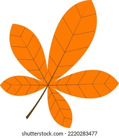 Ilustración vectorial de una hoja de castaño. Ilustración otoñal. La idea de un logotipo, ilustraciones de moda, revista, impresión en ropa, publicidad, libros de coloración.