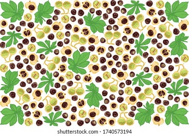 vector illustration of chestnut and leaf design background white EPS10