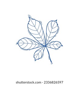 Vector illustration of chestnut leaf in doodle style, sketch line art isolated on white background