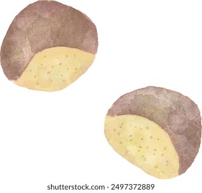 Vector illustration of chestnut with watercolor touch