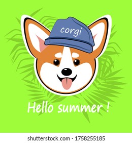 vector illustration  chibi cute funny dog welsh corgi character