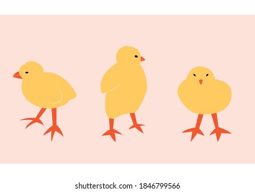 Vector illustration with chick. Cute cartoon characters.