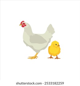 Ilustración vectorial de animal de pollo en estilo plano de dibujos animados. Gallina y gallo con una joven. Crianza de animales domésticos. Conjunto de ganado de pollo. Infografía, cartel, colorear educativo