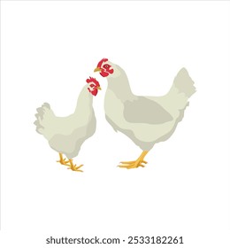 Ilustración vectorial de animal de pollo en estilo plano de dibujos animados. Gallina y gallo con una joven. Crianza de animales domésticos. Conjunto de ganado de pollo. Infografía, cartel, colorear educativo