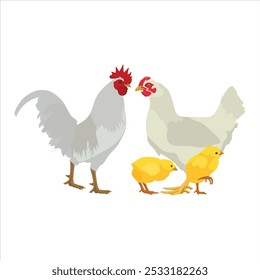 Ilustración vectorial de animal de pollo en estilo plano de dibujos animados. Gallina y gallo con una joven. Crianza de animales domésticos. Conjunto de ganado de pollo. Infografía, cartel, colorear educativo