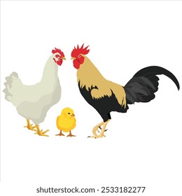 Ilustración vectorial de animal de pollo en estilo plano de dibujos animados. Gallina y gallo con una joven. Crianza de animales domésticos. Conjunto de ganado de pollo. Infografía, cartel, colorear educativo