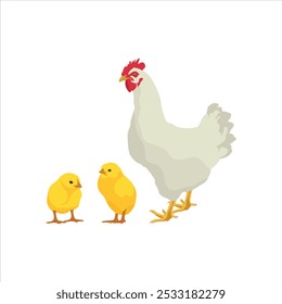 Ilustración vectorial de animal de pollo en estilo plano de dibujos animados. Gallina y gallo con una joven. Crianza de animales domésticos. Conjunto de ganado de pollo. Infografía, cartel, colorear educativo