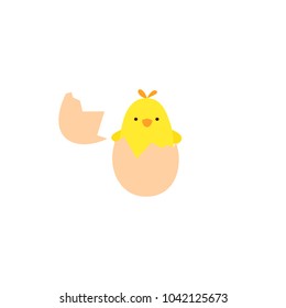 Vector illustration of chicken in the broken egg. Vector newborn chicken. 