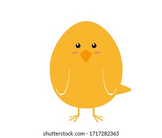 Vector illustration of Chicken chicks . 