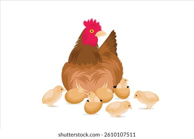 Vector illustration of chicken and egg. Illustration of chicken egg starting to hatch
