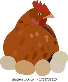 vector illustration chicken with eggs