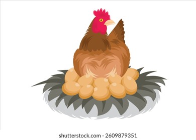 Vector illustration of a chicken laying eggs