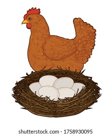 Vector illustration of a chicken with a nest of eggs