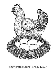 Vector illustration of a chicken with a nest of eggs