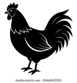 Vector Illustration of Chicken on white background 