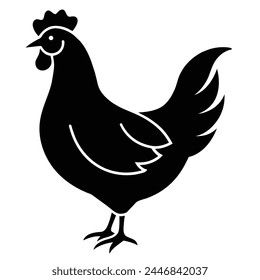 Vector Illustration of Chicken on white background 