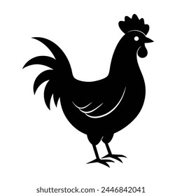 Vector Illustration of Chicken on white background 