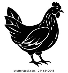 Vector Illustration of Chicken on white background 
