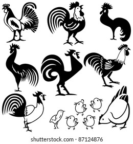 Vector illustration of chicken and rooster design.