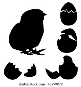 Vector Illustration Of A Chicken Silhouette. Newborn Chick With Egg's  Shell.