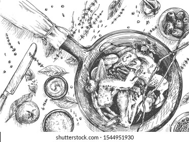 Vector illustration of chicken wings on frying pan still life. Cooking process top view. Sauces, tomatoes, sea salt, spices, olives. Vintage hand drawn style.