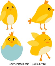 vector illustration of chickens in different poses without background