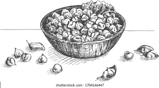 Vector illustration of chickpeas bowl. Healthy protein source, pantry staple beans food. Hummus and fallafel ingredient. Vintage hand drawn engraving etched style.