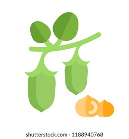 Vector Illustration of Chickpeas. Simple flat icon of cereal and beans on a white background.
