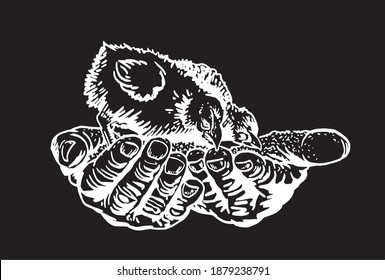  Vector illustration of chicks in arms isolated on black background