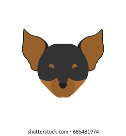 Vector illustration of chihuahua dog head. Isolated on white background.