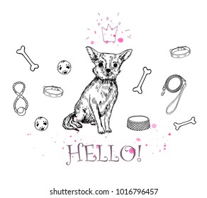 Vector  illustration. Chihuahua dogs with supplies. Pen style vector objects .
